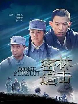 密林追击 - 电影战争片免费高清电影在线观看
